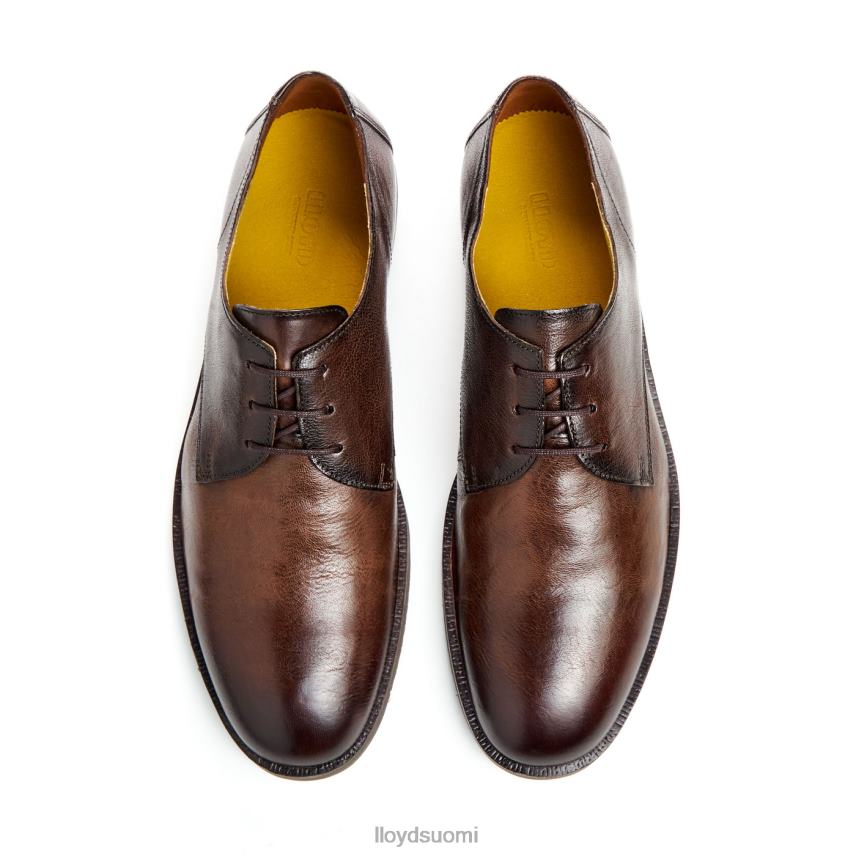kenkiä LLOYD Dorian ruskea miehet 2N8DX37