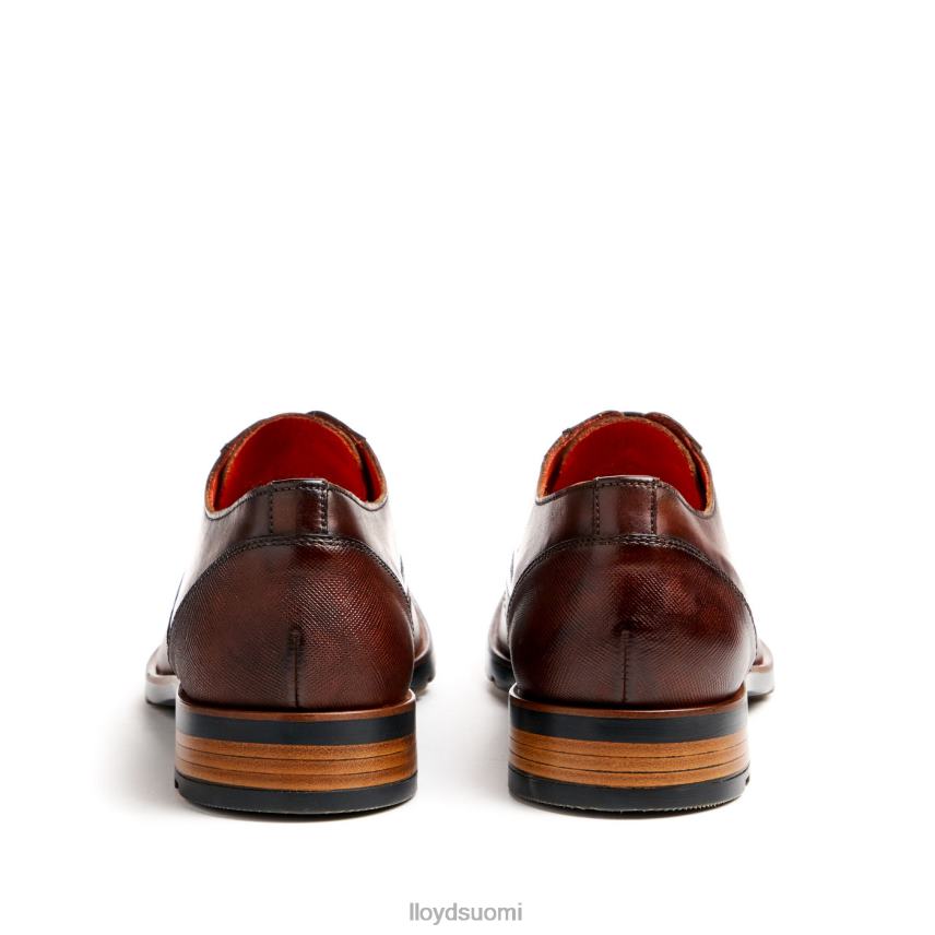 kenkiä LLOYD Jackson ruskea miehet 2N8DX46