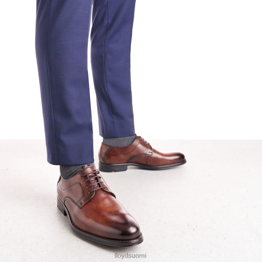 kenkiä LLOYD Valmary ruskea miehet 2N8DX22