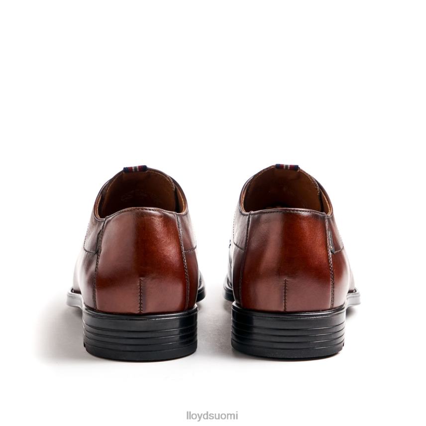 kenkiä LLOYD Valmary ruskea miehet 2N8DX22