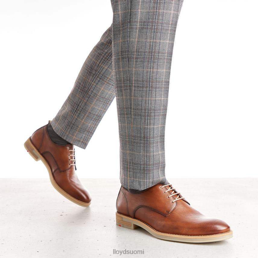 kenkiä LLOYD dakota ruskea miehet 2N8DX608