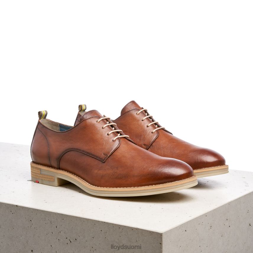 kenkiä LLOYD dakota ruskea miehet 2N8DX608