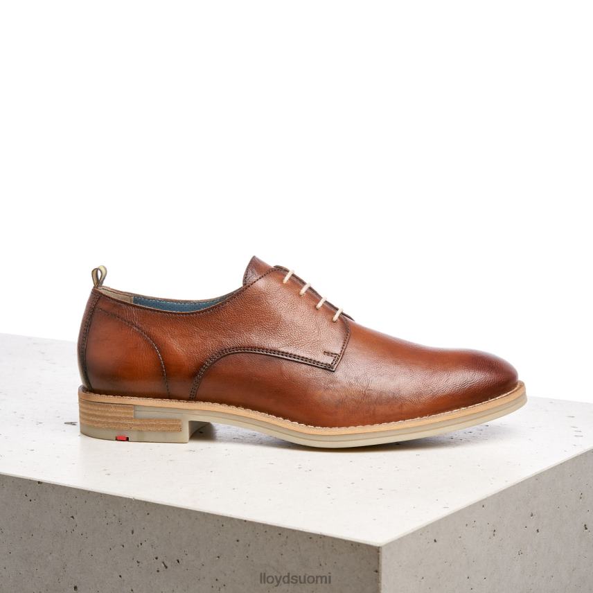 kenkiä LLOYD dakota ruskea miehet 2N8DX608