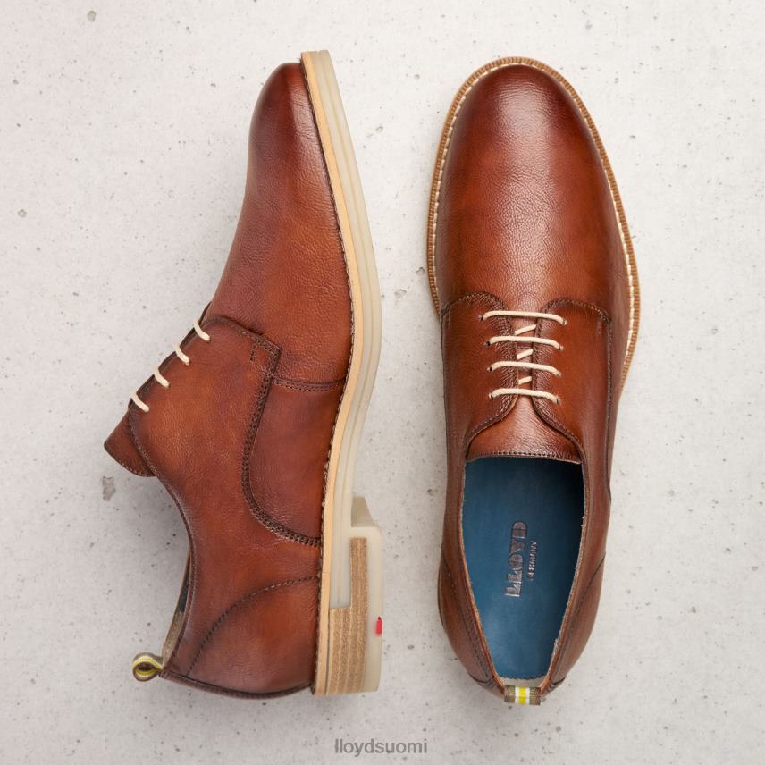 kenkiä LLOYD dakota ruskea miehet 2N8DX608