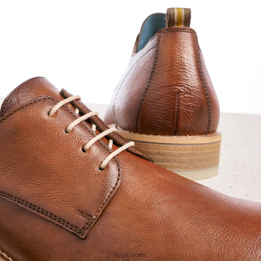 kenkiä LLOYD dakota ruskea miehet 2N8DX608