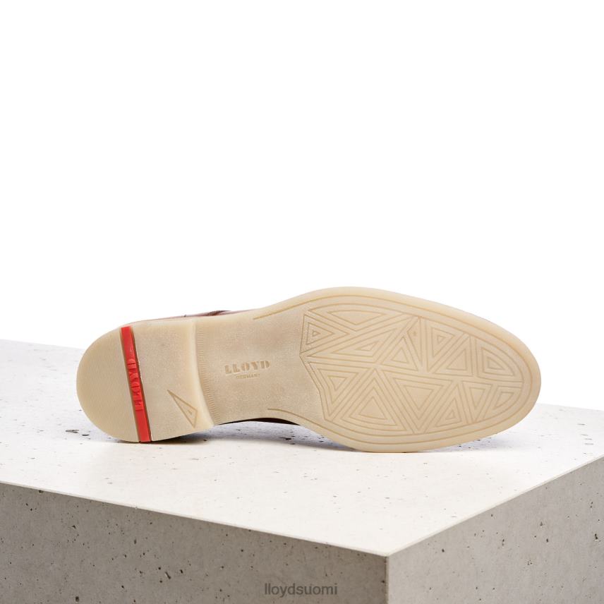 kenkiä LLOYD dakota ruskea miehet 2N8DX608