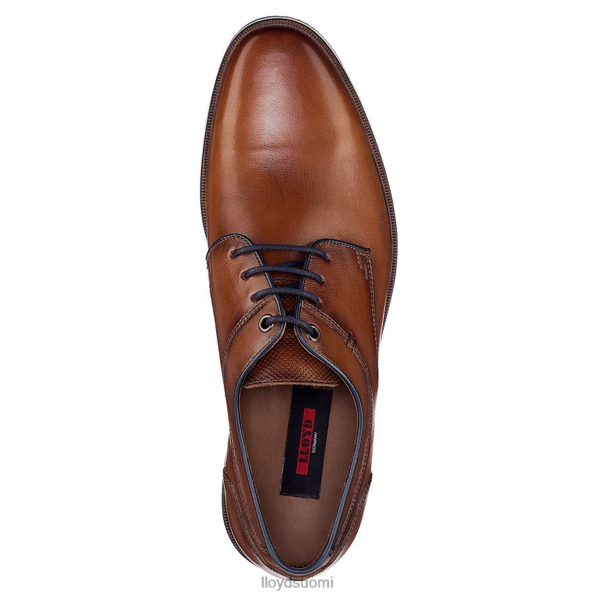 kenkiä LLOYD danjaan ruskea miehet 2N8DX609