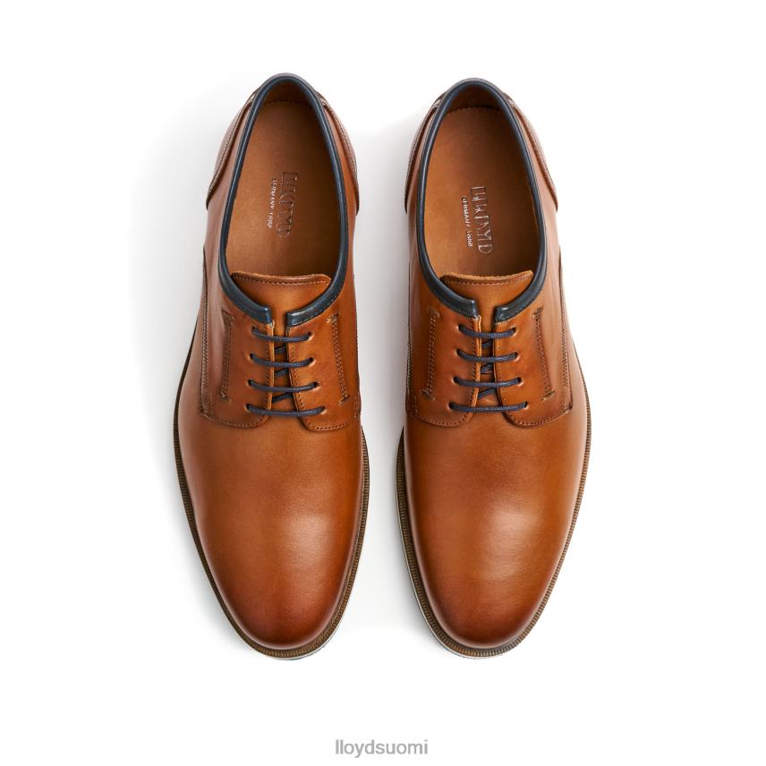 kenkiä LLOYD detroitissa ruskea miehet 2N8DX113