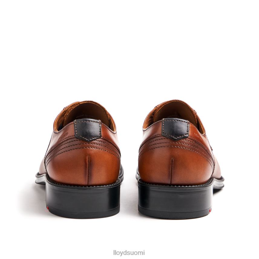 kenkiä LLOYD gaala ruskea miehet 2N8DX102