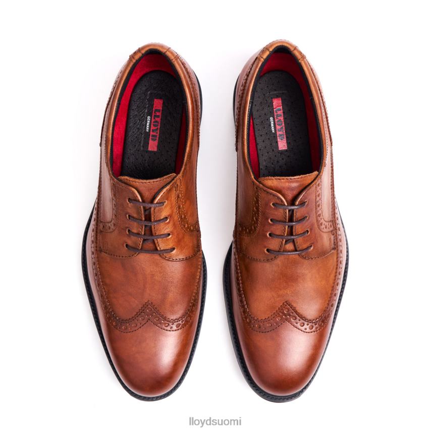 kenkiä LLOYD kaleb (xtrawide) ruskea miehet 2N8DX20