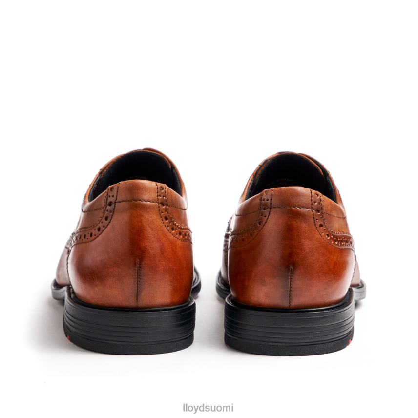 kenkiä LLOYD kaleb (xtrawide) ruskea miehet 2N8DX20