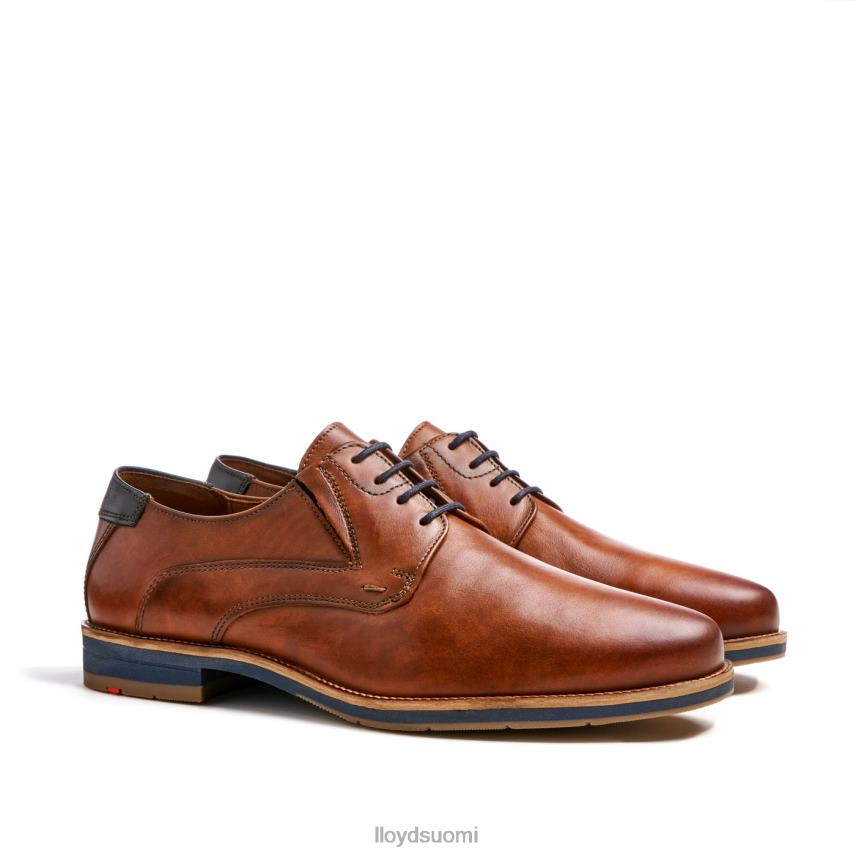 kenkiä LLOYD kazan (xtrawide) ruskea miehet 2N8DX110