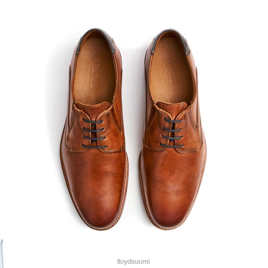 kenkiä LLOYD kazan (xtrawide) ruskea miehet 2N8DX110