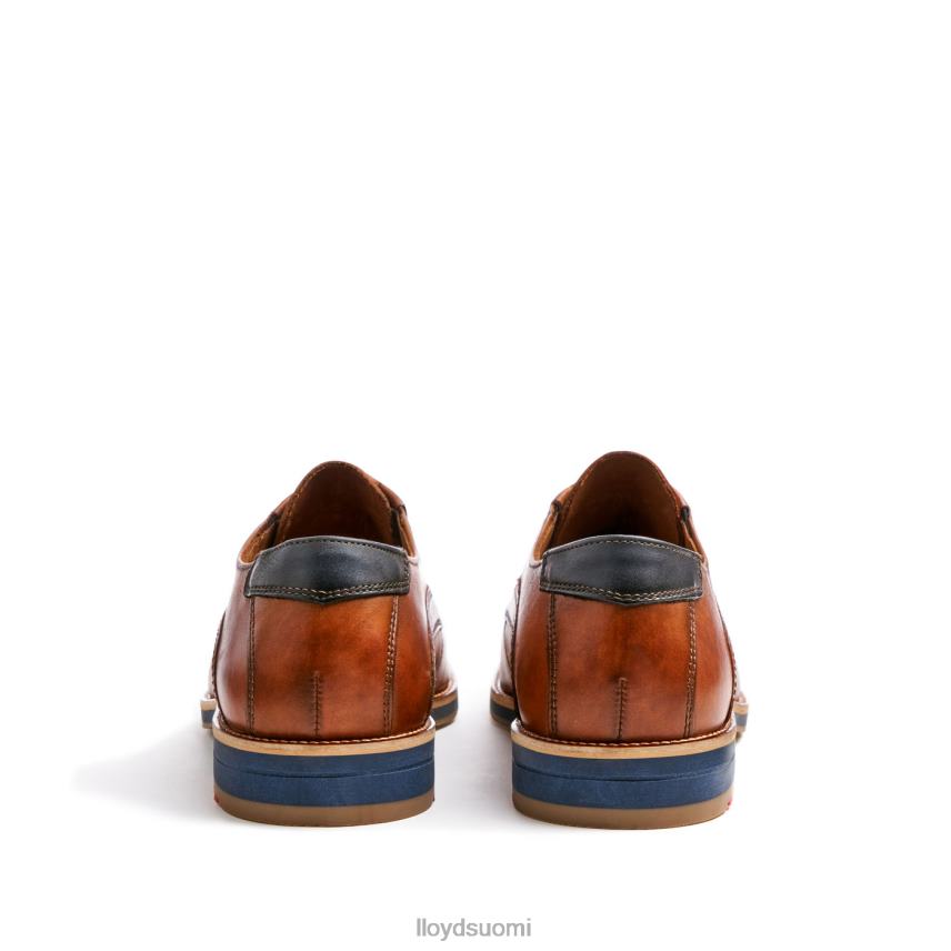 kenkiä LLOYD kazan (xtrawide) ruskea miehet 2N8DX110