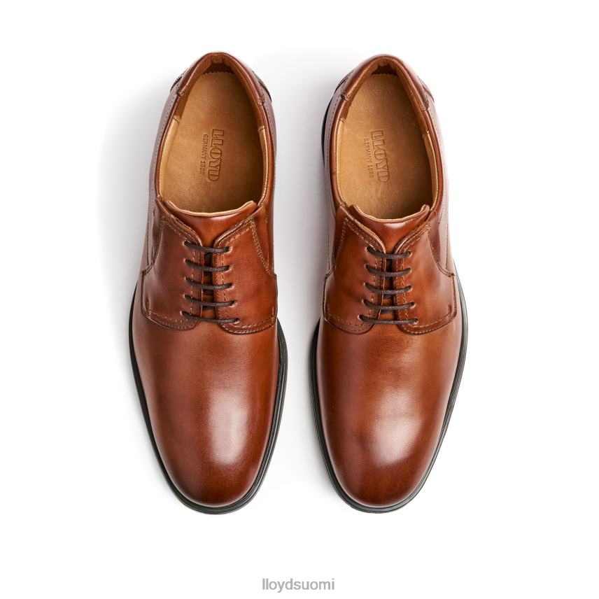 kenkiä LLOYD kentucky (xtrawide) ruskea miehet 2N8DX120