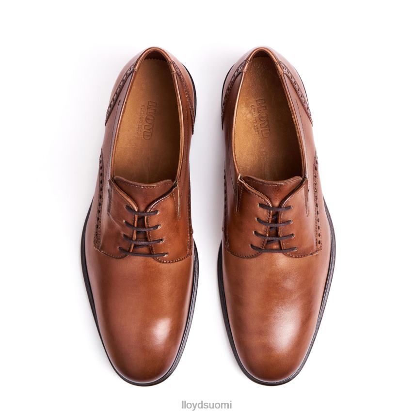 kenkiä LLOYD koog (xtrawide) ruskea miehet 2N8DX75