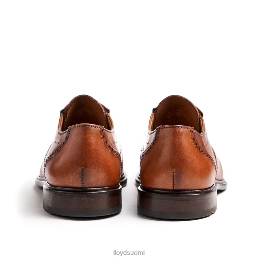 kenkiä LLOYD koog (xtrawide) ruskea miehet 2N8DX75