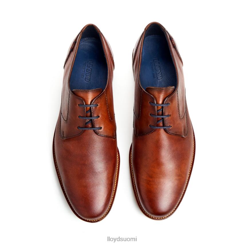 kenkiä LLOYD laval ruskea miehet 2N8DX41