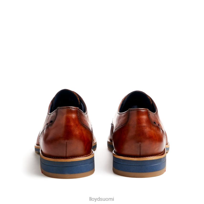 kenkiä LLOYD laval ruskea miehet 2N8DX41