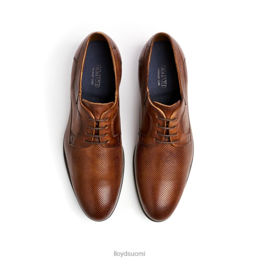 kenkiä LLOYD levin ruskea miehet 2N8DX87