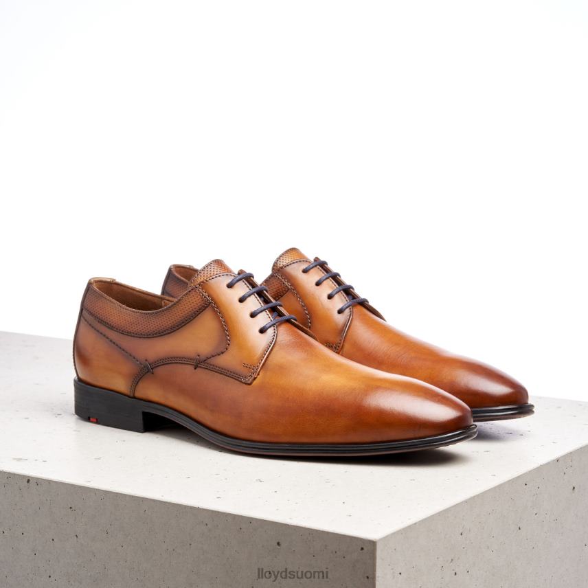 kenkiä LLOYD madison ruskea miehet 2N8DX192