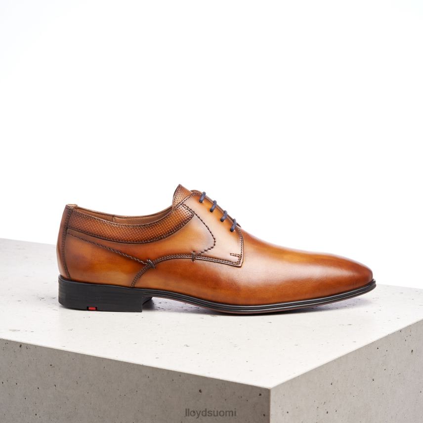 kenkiä LLOYD madison ruskea miehet 2N8DX192