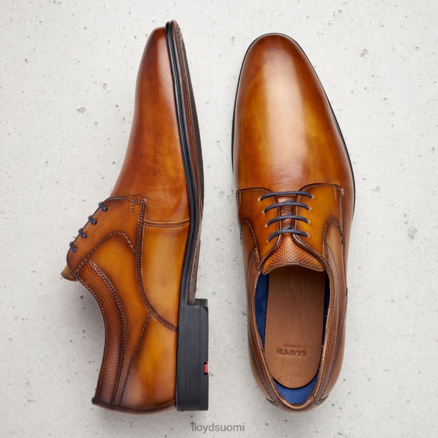 kenkiä LLOYD madison ruskea miehet 2N8DX192