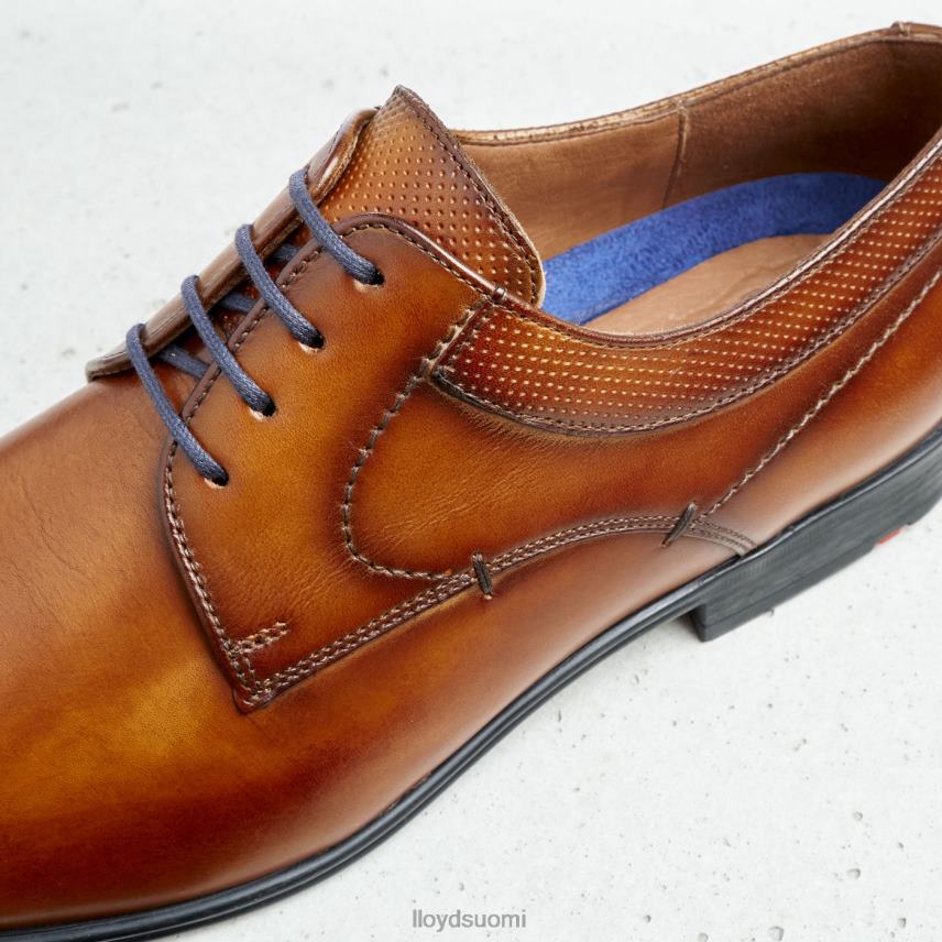 kenkiä LLOYD madison ruskea miehet 2N8DX192