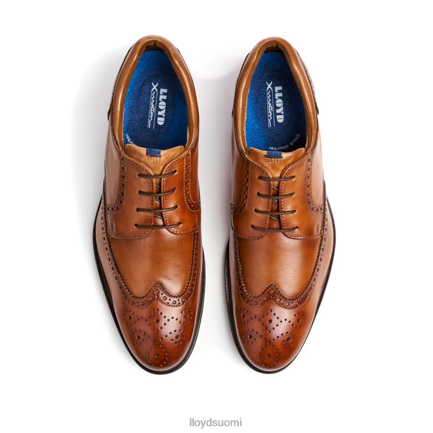 kenkiä LLOYD marian ruskea miehet 2N8DX141