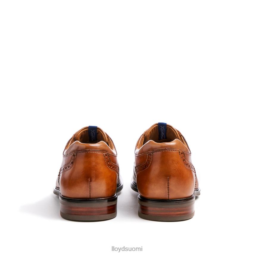 kenkiä LLOYD marian ruskea miehet 2N8DX141