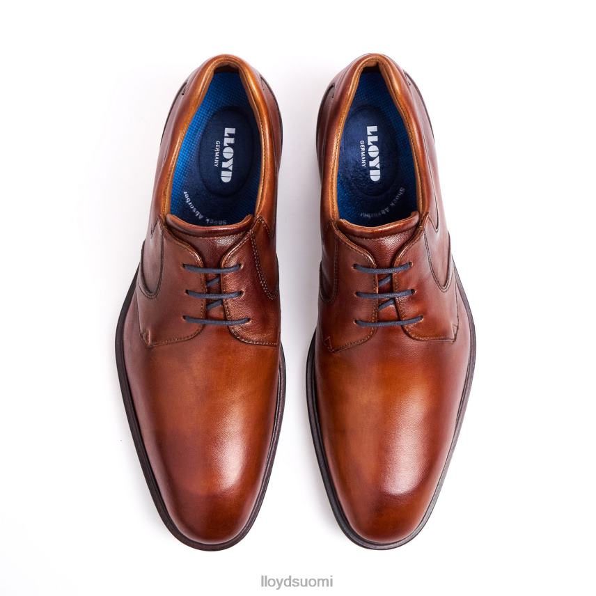 kenkiä LLOYD monty ruskea miehet 2N8DX134