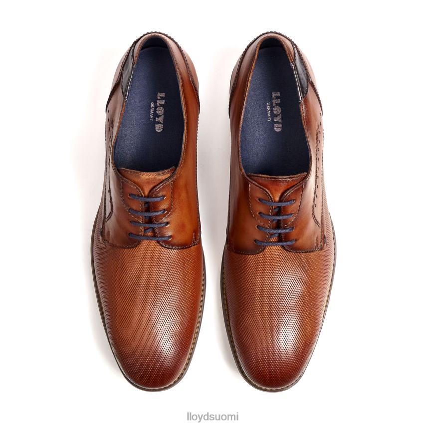 kenkiä LLOYD namir ruskea miehet 2N8DX217