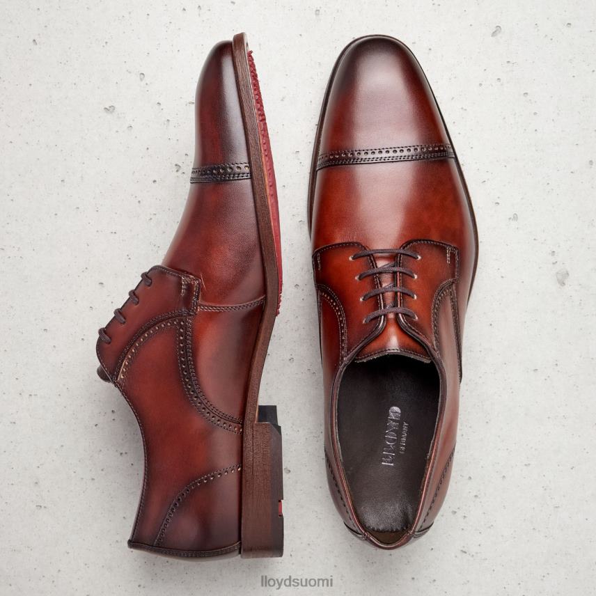 kenkiä LLOYD päärynä ruskea miehet 2N8DX177