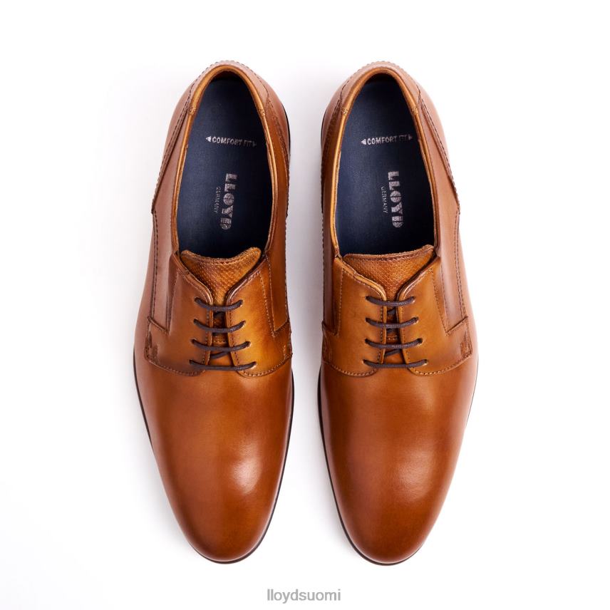 kenkiä LLOYD pitää ruskea miehet 2N8DX129