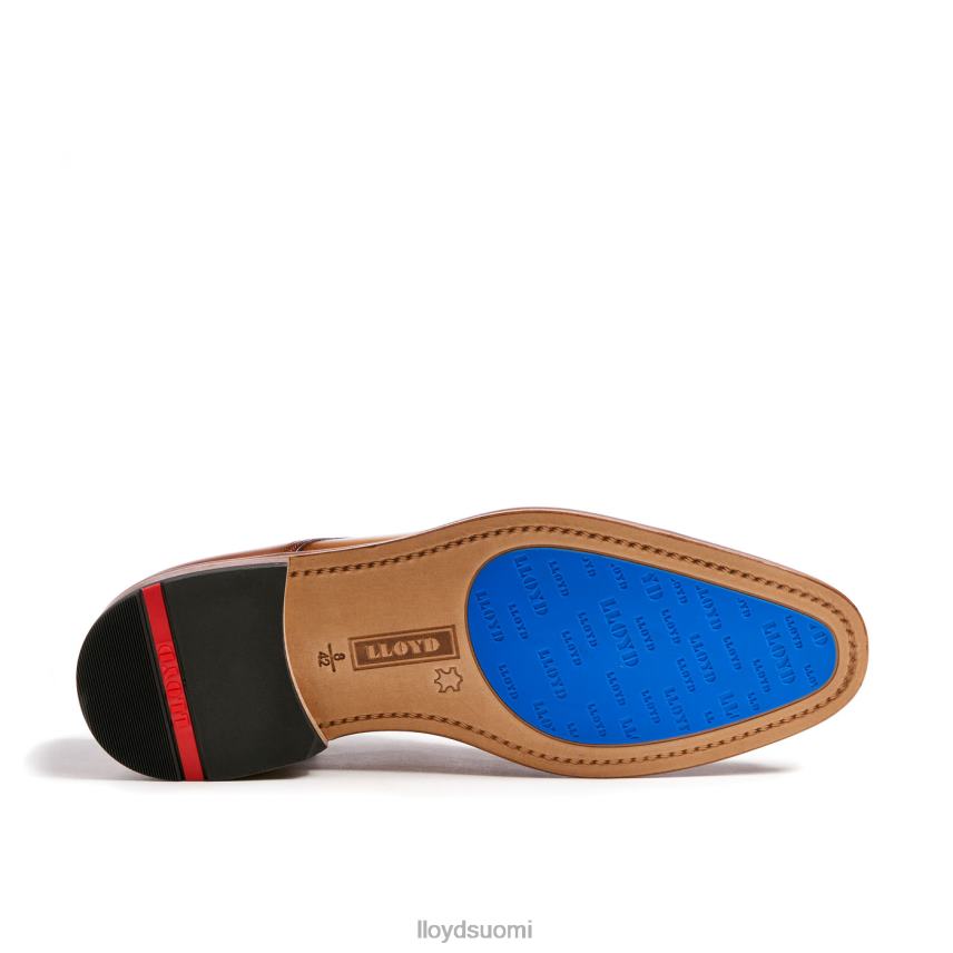 kenkiä LLOYD rick ruskea miehet 2N8DX216