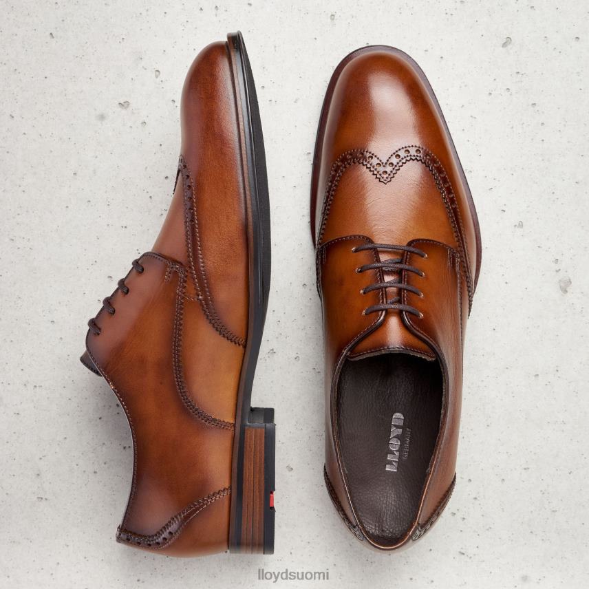 kenkiä LLOYD samson ruskea miehet 2N8DX235