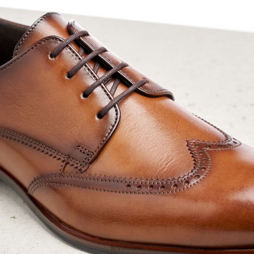 kenkiä LLOYD samson ruskea miehet 2N8DX235