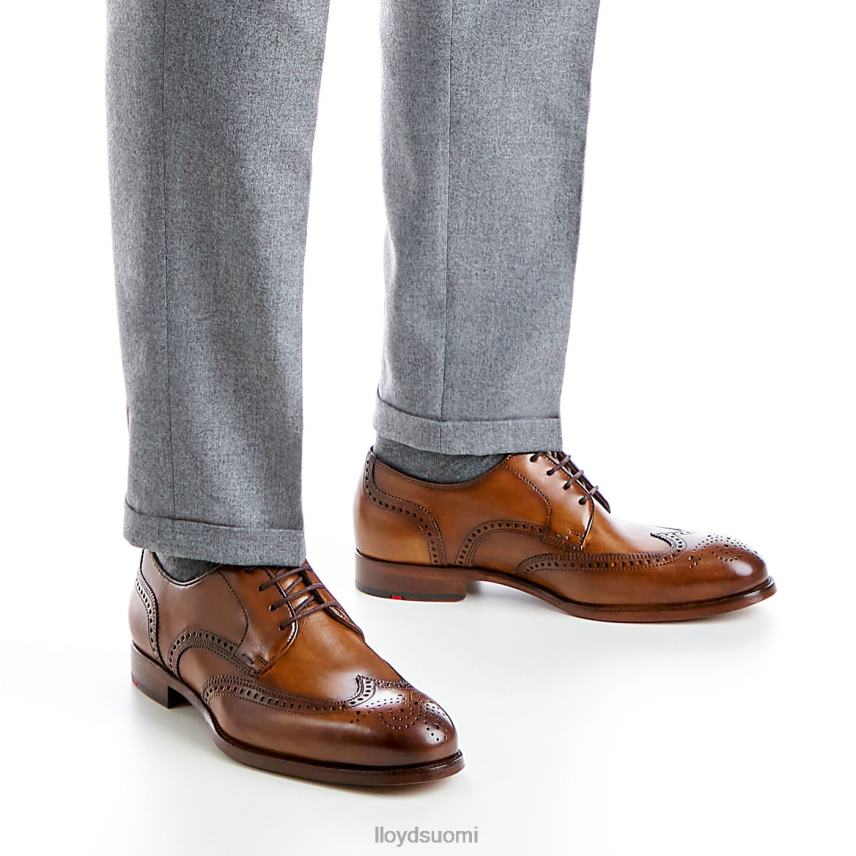 kenkiä LLOYD sheridan ruskea miehet 2N8DX205