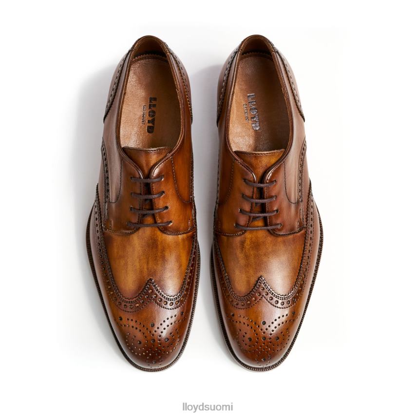 kenkiä LLOYD sheridan ruskea miehet 2N8DX205