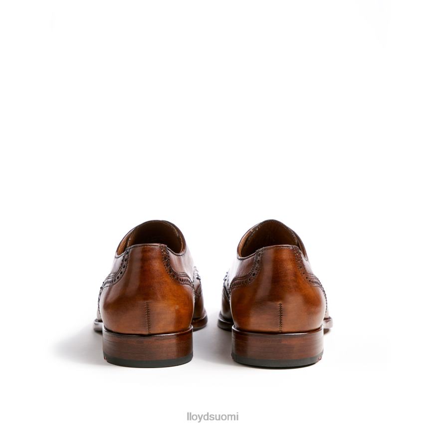 kenkiä LLOYD sheridan ruskea miehet 2N8DX205