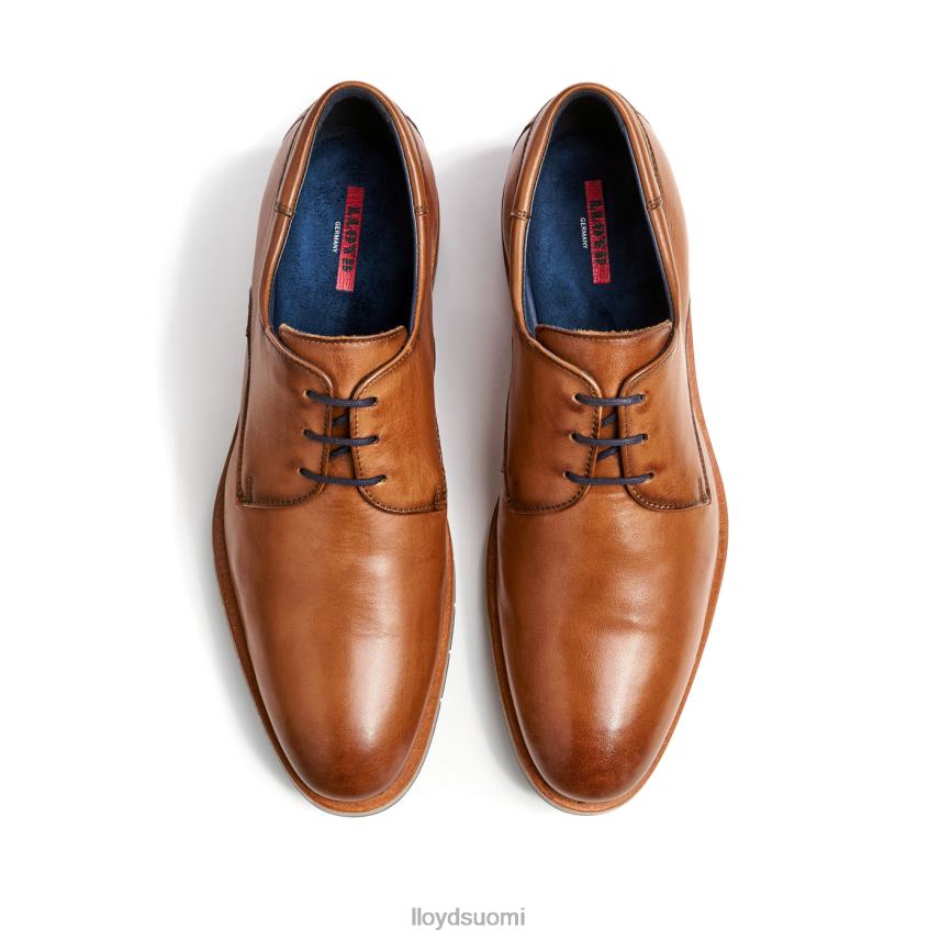 kenkiä LLOYD tambo ruskea miehet 2N8DX23