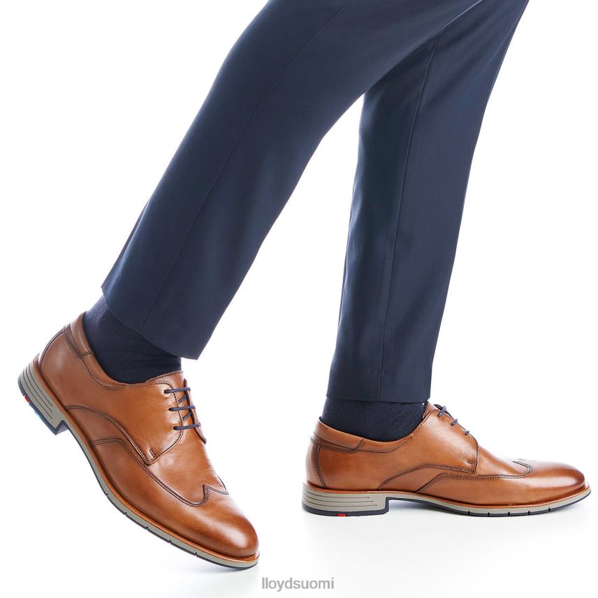 kenkiä LLOYD taylor ruskea miehet 2N8DX1325