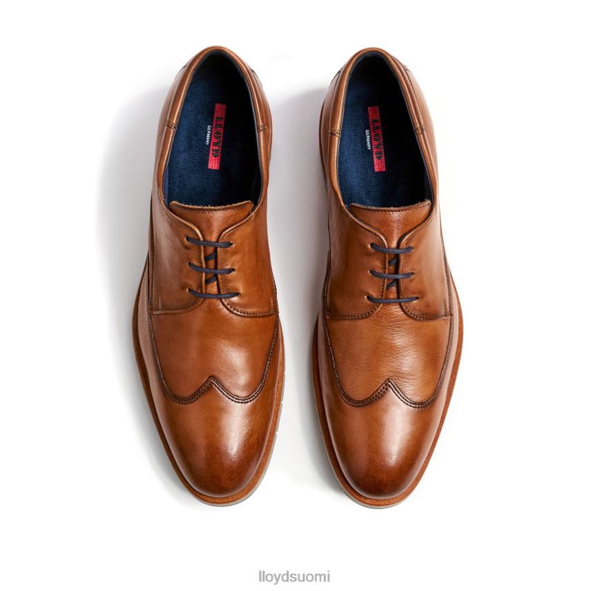 kenkiä LLOYD taylor ruskea miehet 2N8DX1325