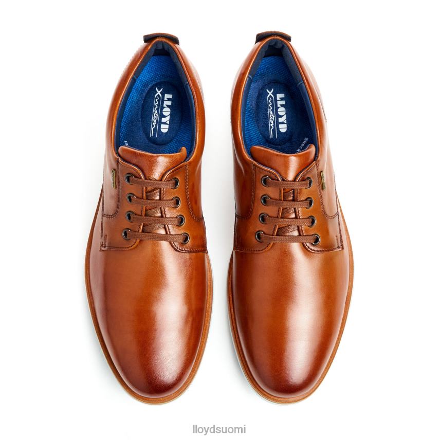 kenkiä LLOYD vin ruskea miehet 2N8DX139