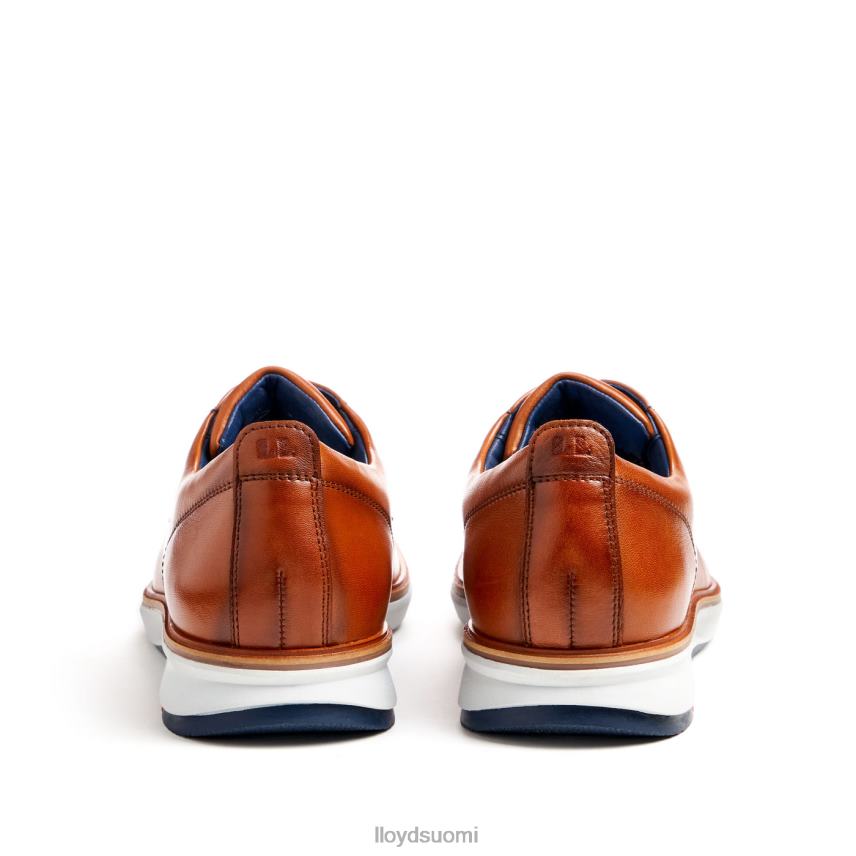 kenkiä LLOYD vin ruskea miehet 2N8DX139