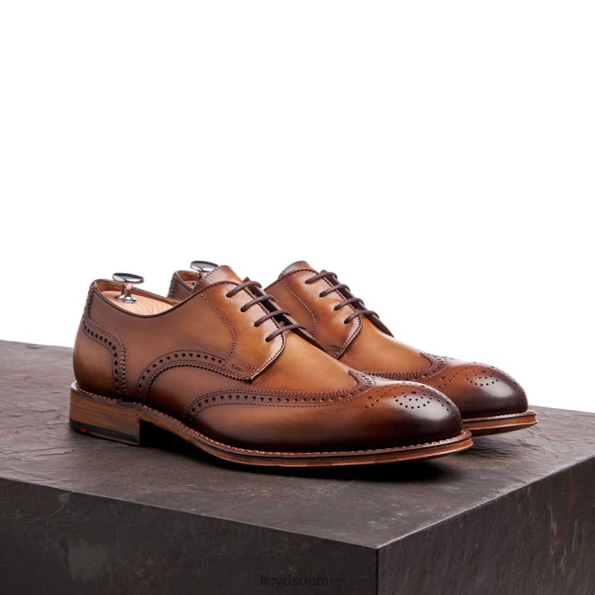 kenkiä LLOYD warwick ruskea miehet 2N8DX74