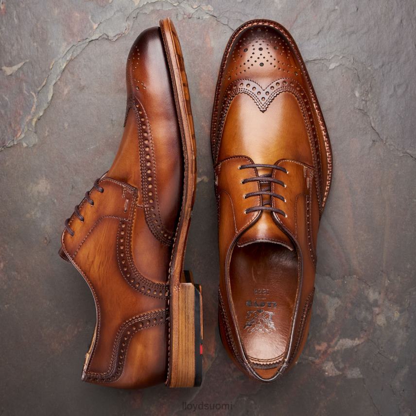 kenkiä LLOYD warwick ruskea miehet 2N8DX74