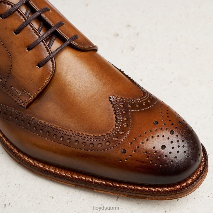 kenkiä LLOYD warwick ruskea miehet 2N8DX74