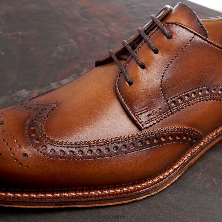 kenkiä LLOYD warwick ruskea miehet 2N8DX74