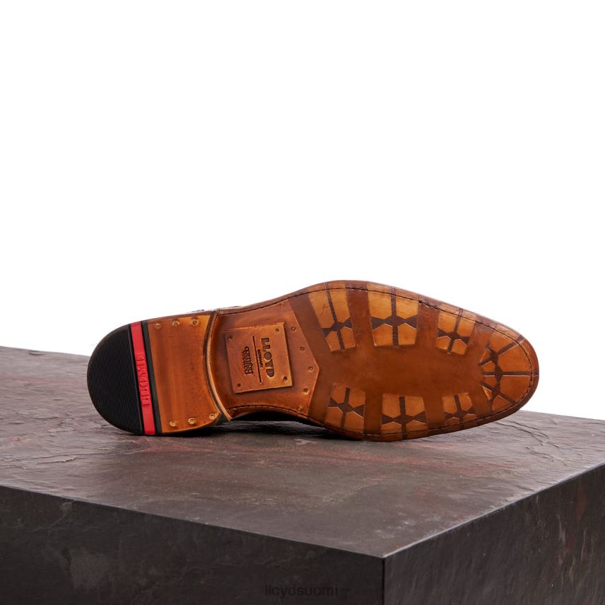 kenkiä LLOYD warwick ruskea miehet 2N8DX74